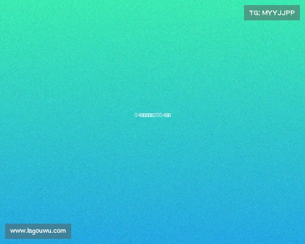 04年赛事回顾2004比赛 04年赛事回顾2004比赛