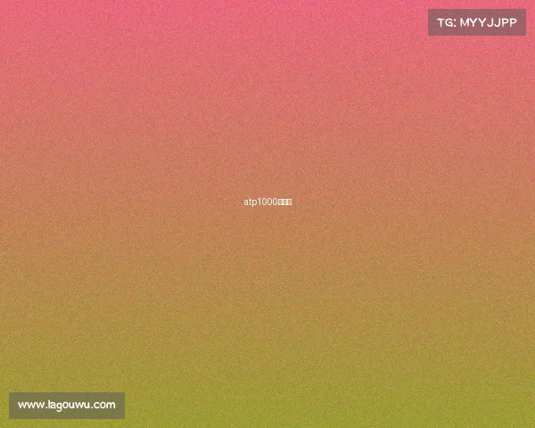 atp1000有几站 atp1000有几站