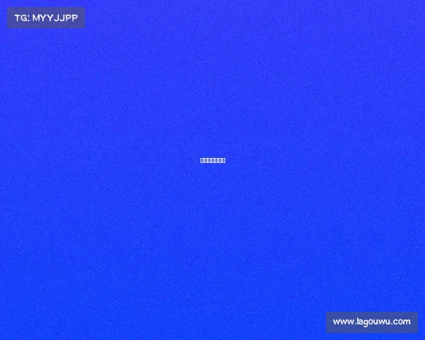 女排世锦赛比赛